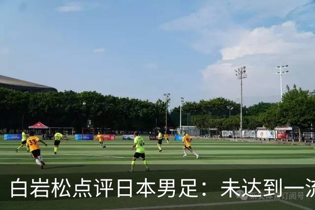 白岩松点评日本男足：未达到一流强队标准，仍需克服对荷兰的恐惧